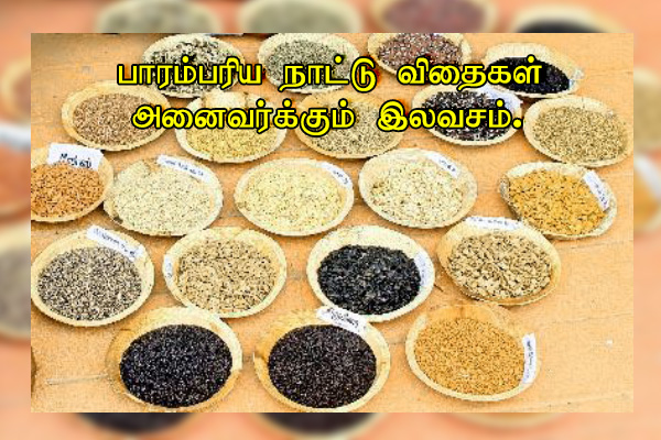 Tamil Nadu Seed Festival