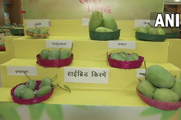 MANGO FESTIVAL 2022 CELEBRATED AT PATNA