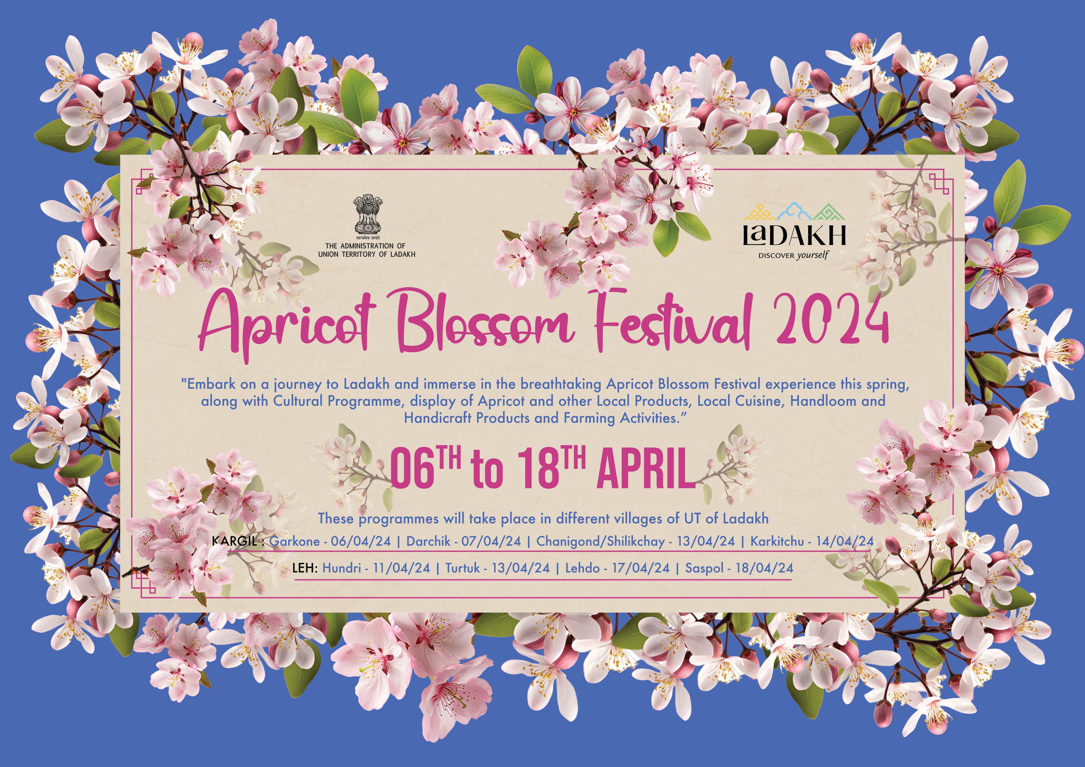 Apricot Blossom Festival 2024