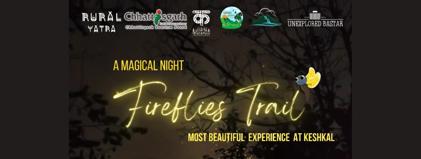 Fireflies Trail