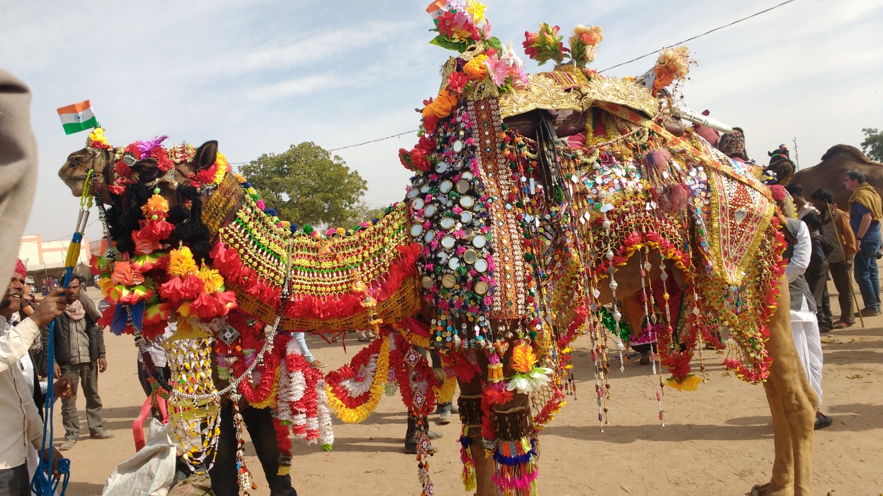 Events & Festivals in India | A Ministry of Tourism Initiative