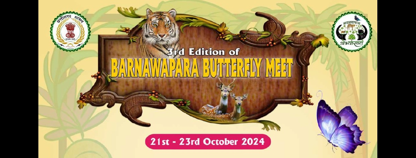 3rd Edition of Barnawapara Butterfly Meet 2024