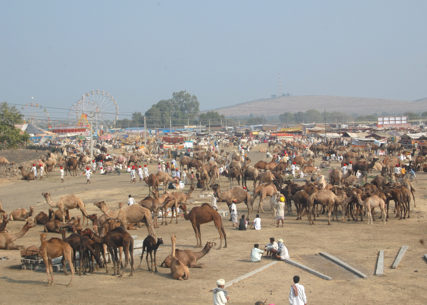 Chandrabhaga Fair, Jhalrapatan Distt Jhalawar