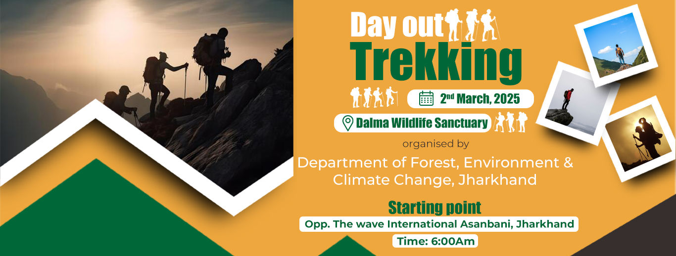 Day Out Trekking