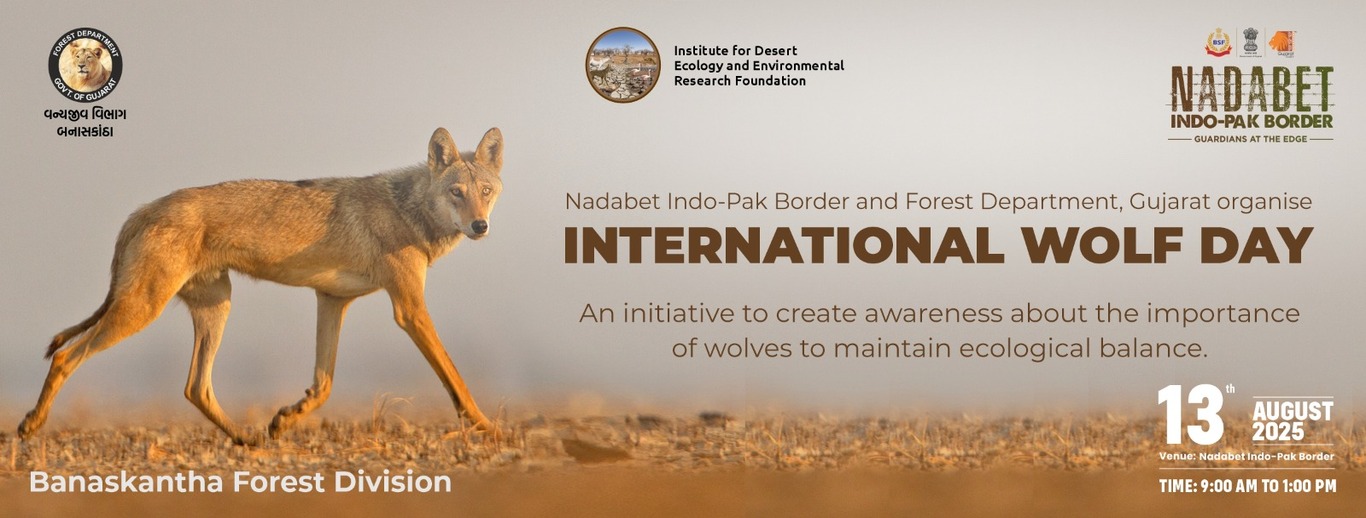 International Wolf Day