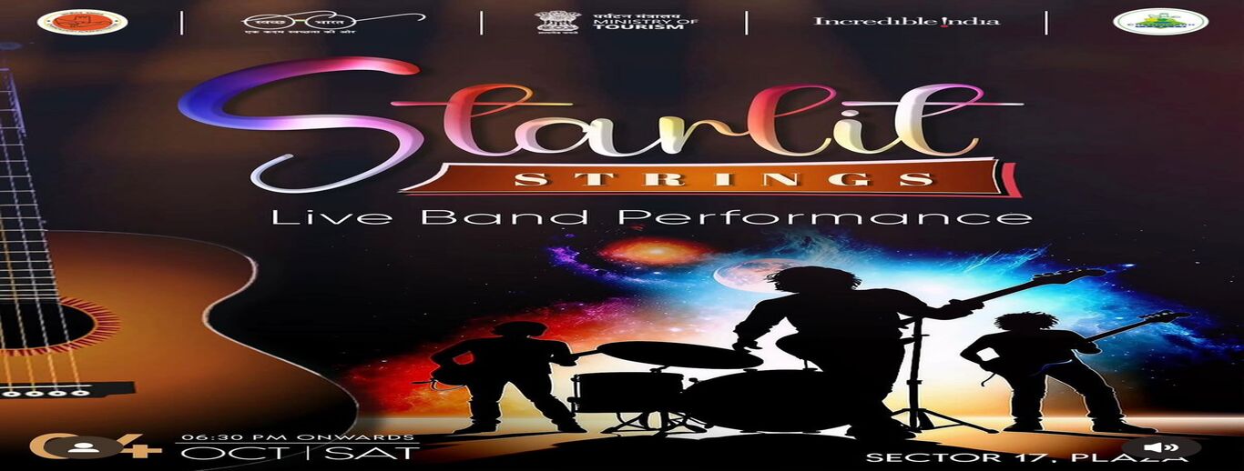 Starlit Strings Live Band Performance