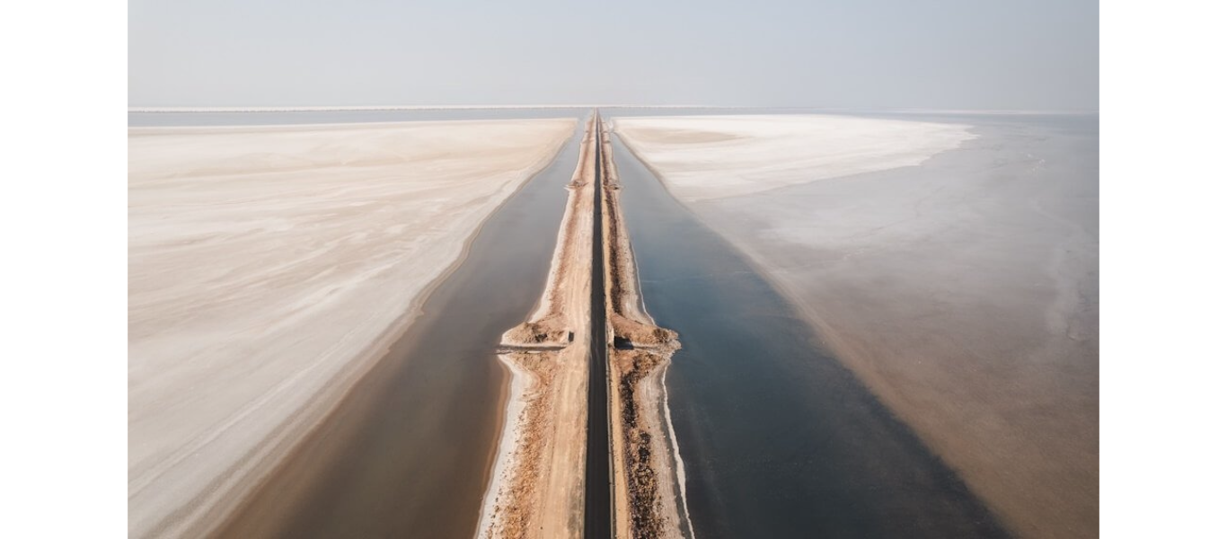 Beach Kite Festival 2024