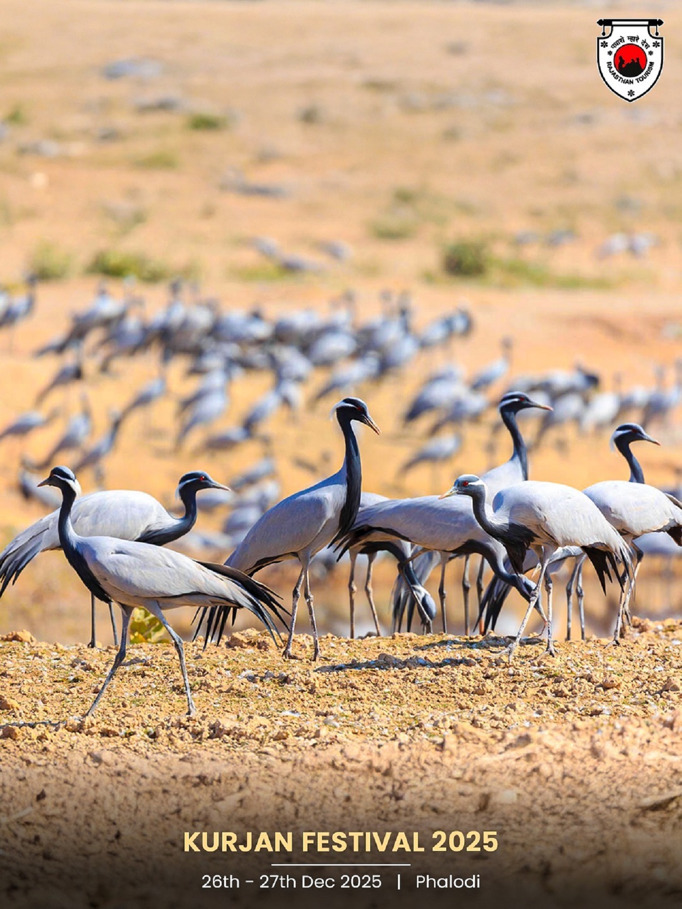 Kurjan Festival 2025