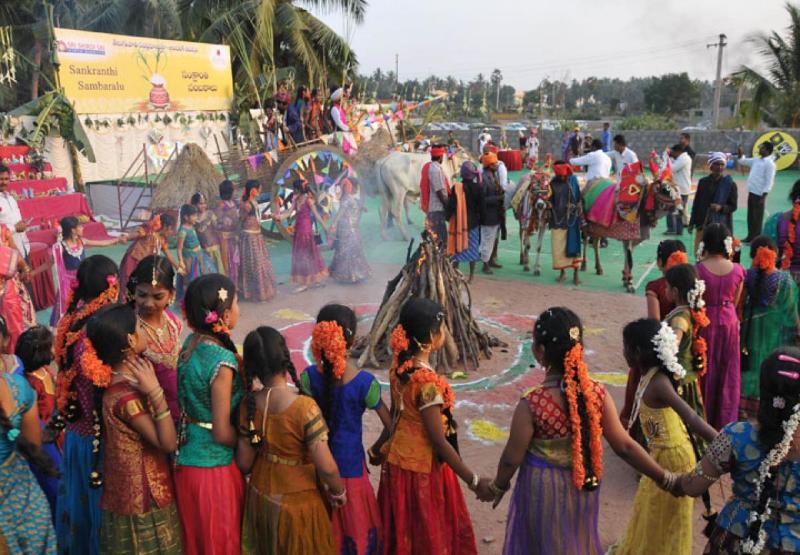 Sankranti Festival